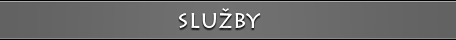 služby